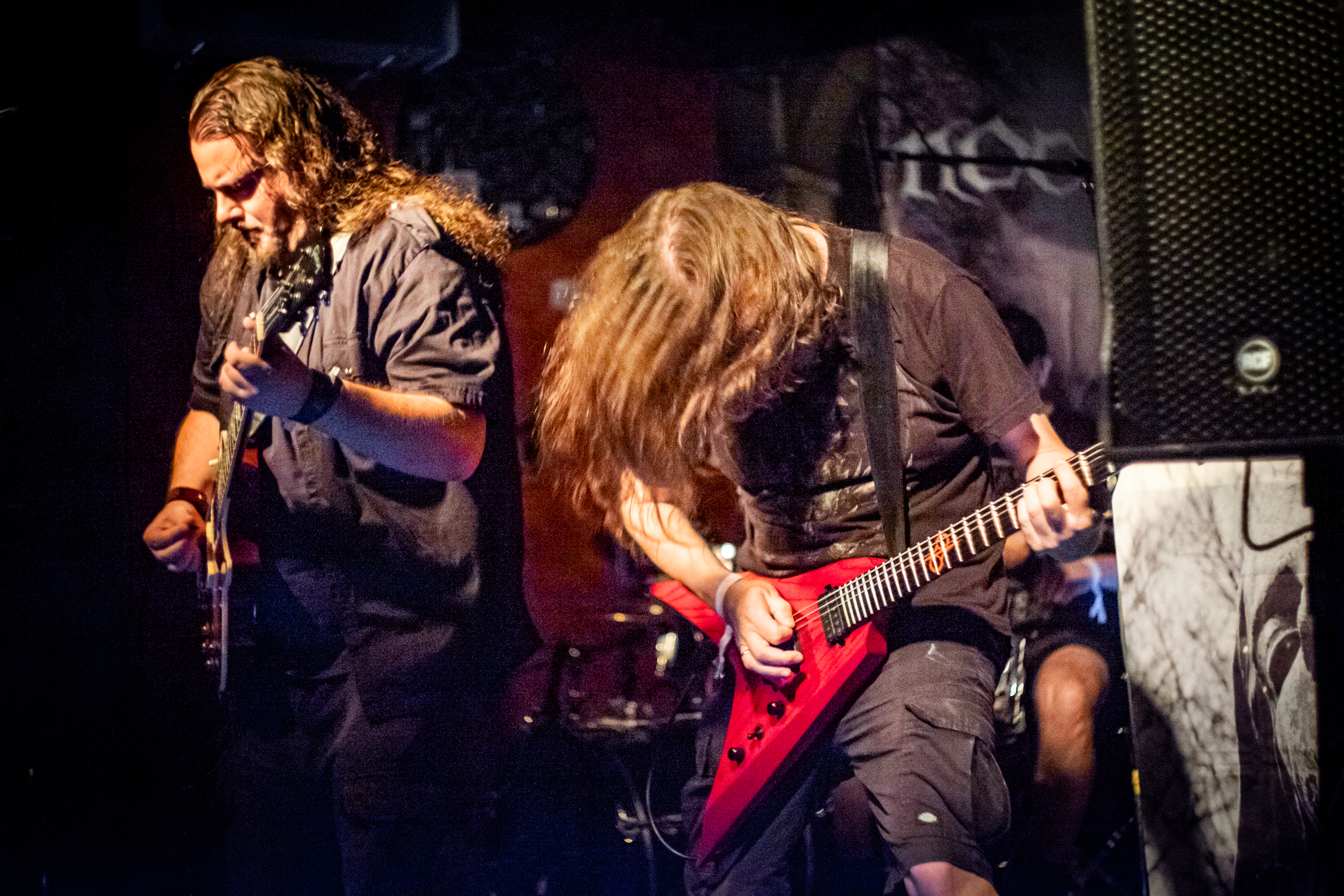 Nocturnal Silence live