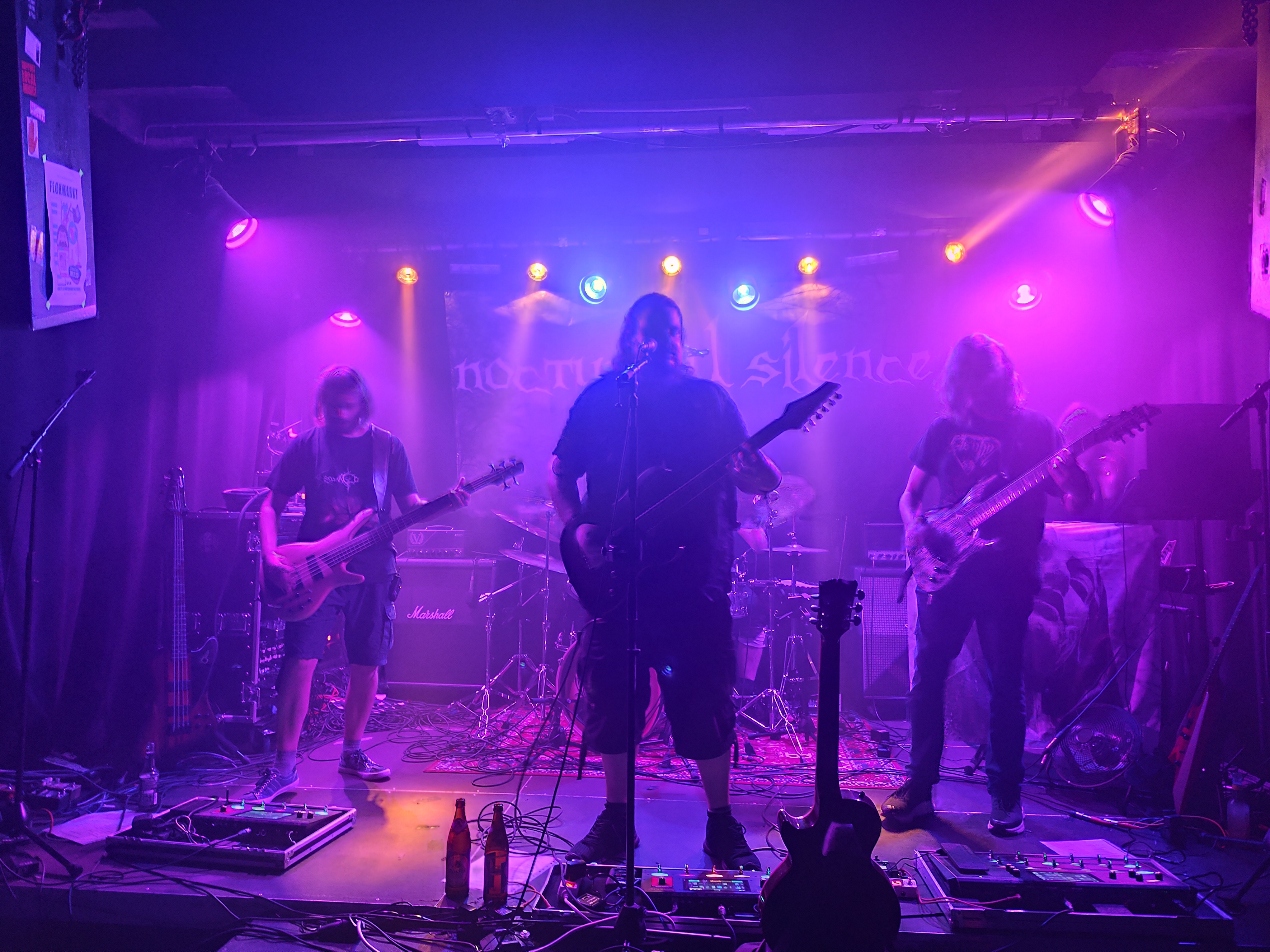 Nocturnal Silence live