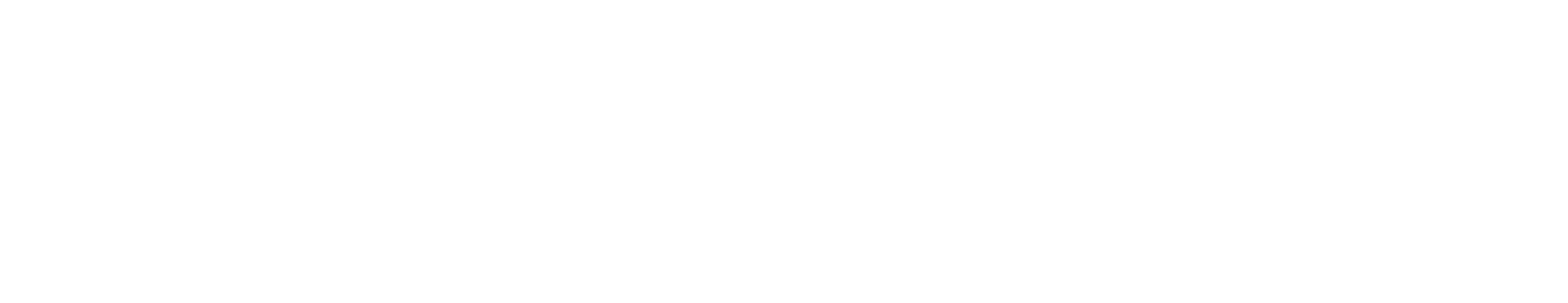 Nocturnal Silence logo